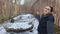 Zima zniszczyła woliery. Ośrodek rehabilitacji ptaków w Bukwałdzie potrzebuje pomocy Zima zniszczyła woliery. Ośrodek rehabilitacji ptaków w Bukwałdzie potrzebuje pomocy